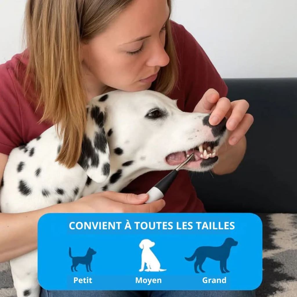 Raukner Sourire Animal 2.0