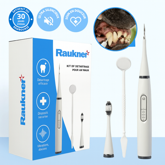 Kit de détartrage pour animaux