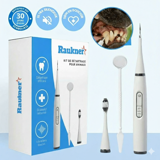 Kit de détartrage pour animaux
