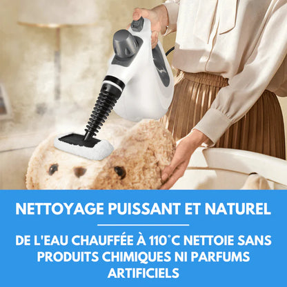Nettoyeur à vapeur A80