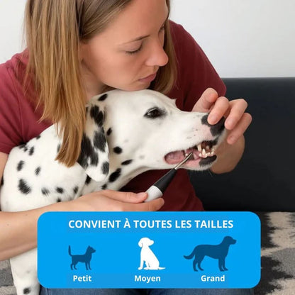 Raukner Sourire Animal 2.0