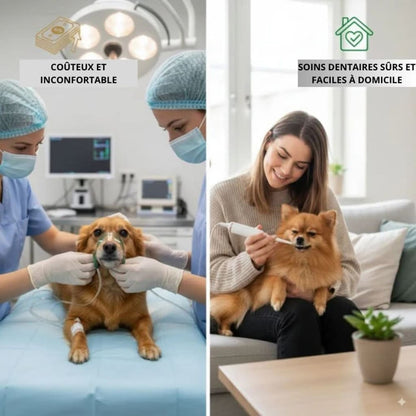 Raukner Sourire Animal 2.0